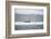 Walrus-DLILLC-Framed Photographic Print