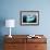 Walruses on Iceberg, Hudson Bay, Nunavut, Canada-Paul Souders-Framed Photographic Print displayed on a wall