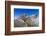 Walruses on Iceberg, Hudson Bay, Nunavut, Canada-Paul Souders-Framed Photographic Print