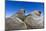 Walruses on Iceberg, Hudson Bay, Nunavut, Canada-Paul Souders-Mounted Photographic Print