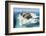 Walruses on Iceberg, Hudson Bay, Nunavut, Canada-Paul Souders-Framed Photographic Print