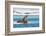 Walruses on Spitsbergen-Inge Jansen-Framed Photographic Print