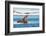 Walruses on Spitsbergen-Inge Jansen-Framed Photographic Print