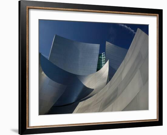 Walt Disney Concert Hall, Los Angeles, California, USA-Walter Bibikow-Framed Photographic Print