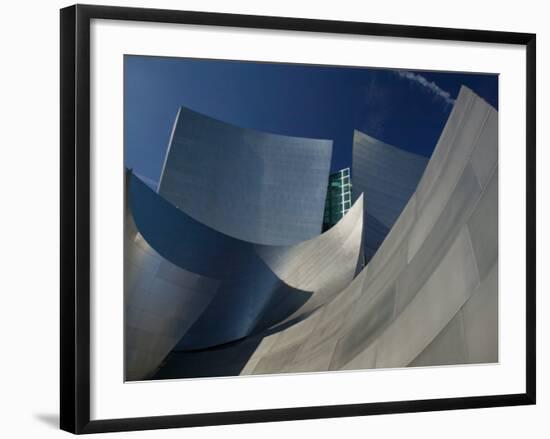 Walt Disney Concert Hall, Los Angeles, California, USA-Walter Bibikow-Framed Photographic Print