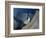 Walt Disney Concert Hall, Los Angeles, California, USA-Walter Bibikow-Framed Photographic Print