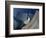 Walt Disney Concert Hall, Los Angeles, California, USA-Walter Bibikow-Framed Photographic Print