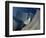 Walt Disney Concert Hall, Los Angeles, California, USA-Walter Bibikow-Framed Photographic Print