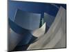 Walt Disney Concert Hall, Los Angeles, California, USA-Walter Bibikow-Mounted Photographic Print