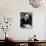 Walt Disney Sitting at His Desk-Alfred Eisenstaedt-Premium Photographic Print displayed on a wall