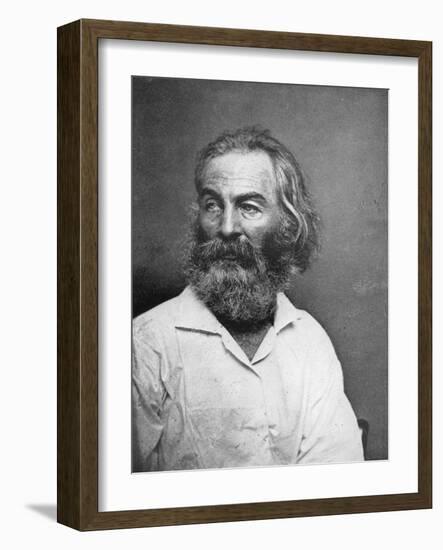 Walt Whitman (1819-189), American Poet, C1880S-MATHEW B BRADY-Framed Giclee Print