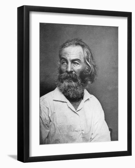 Walt Whitman (1819-189), American Poet, C1880S-MATHEW B BRADY-Framed Giclee Print