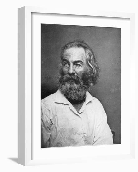 Walt Whitman (1819-189), American Poet, C1880S-MATHEW B BRADY-Framed Giclee Print