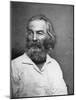 Walt Whitman (1819-189), American Poet, C1880S-MATHEW B BRADY-Mounted Giclee Print