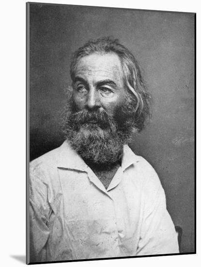 Walt Whitman (1819-189), American Poet, C1880S-MATHEW B BRADY-Mounted Giclee Print