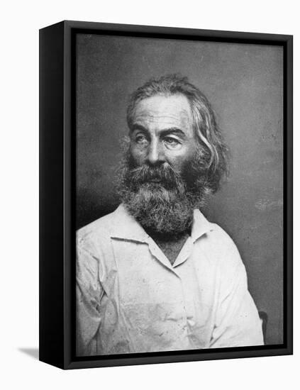 Walt Whitman (1819-189), American Poet, C1880S-MATHEW B BRADY-Framed Premier Image Canvas