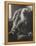 Walt Whitman, 1891-Thomas Cowperthwait Eakins-Framed Premier Image Canvas