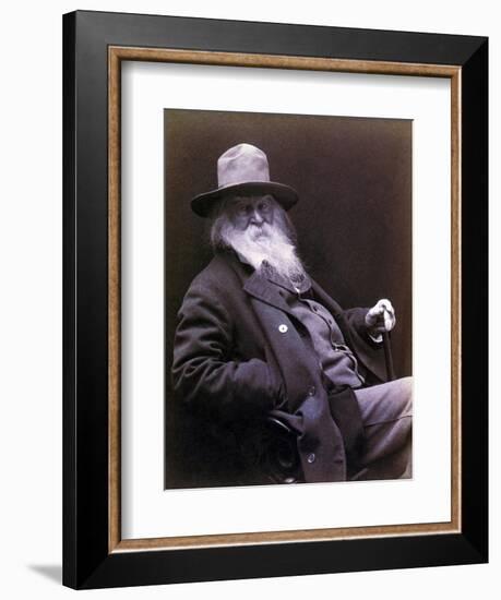 Walt Whitman American Poet, Author, and Journalist in 1877 Portrait-null-Framed Art Print