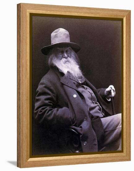 Walt Whitman American Poet, Author, and Journalist in 1877 Portrait-null-Framed Stretched Canvas