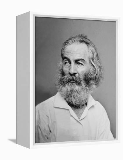 Walt Whitman American Poet, Author, and Journalist in Portrait from Mathew Brady Studio, 1863-null-Framed Stretched Canvas