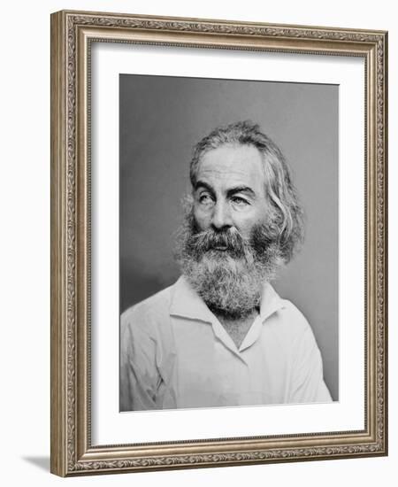 Walt Whitman American Poet, Author, and Journalist in Portrait from Mathew Brady Studio, 1863-null-Framed Art Print