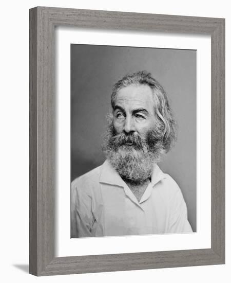 Walt Whitman American Poet, Author, and Journalist in Portrait from Mathew Brady Studio, 1863-null-Framed Art Print