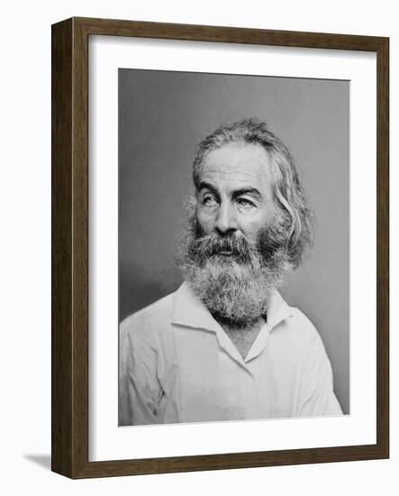 Walt Whitman American Poet, Author, and Journalist in Portrait from Mathew Brady Studio, 1863-null-Framed Art Print