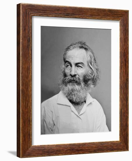 Walt Whitman American Poet, Author, and Journalist in Portrait from Mathew Brady Studio, 1863-null-Framed Art Print