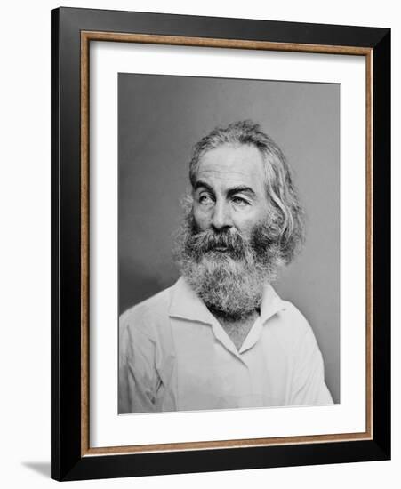 Walt Whitman American Poet, Author, and Journalist in Portrait from Mathew Brady Studio, 1863-null-Framed Art Print