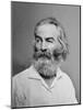 Walt Whitman American Poet, Author, and Journalist in Portrait from Mathew Brady Studio, 1863-null-Mounted Art Print