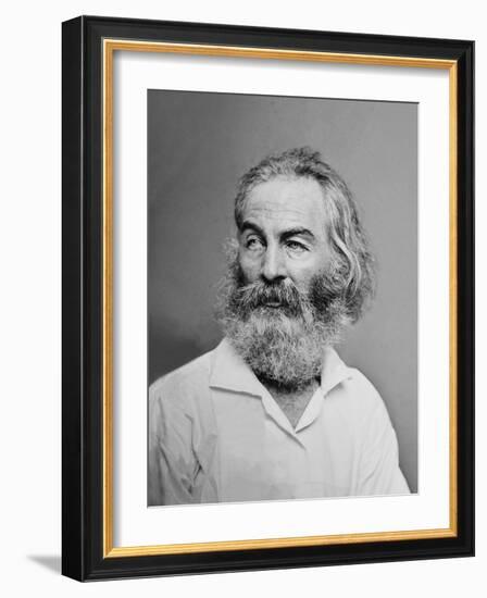 Walt Whitman American Poet, Author, and Journalist in Portrait from Mathew Brady Studio, 1863-null-Framed Art Print