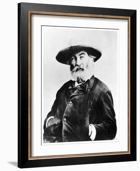 Walt Whitman, American Poet, C1866-MATHEW B BRADY-Framed Giclee Print