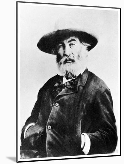 Walt Whitman, American Poet, C1866-MATHEW B BRADY-Mounted Giclee Print