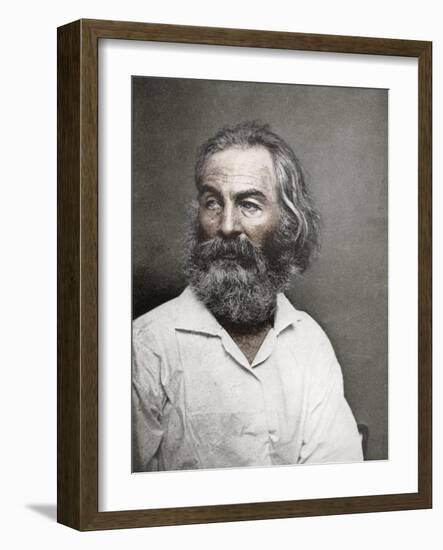 Walt Whitman, American Poet, C1880S-MATHEW B BRADY-Framed Giclee Print