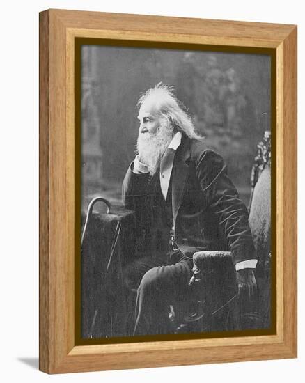 Walt Whitman, American Poet-Science Source-Framed Premier Image Canvas