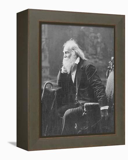 Walt Whitman, American Poet-Science Source-Framed Premier Image Canvas