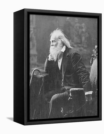 Walt Whitman, American Poet-Science Source-Framed Premier Image Canvas