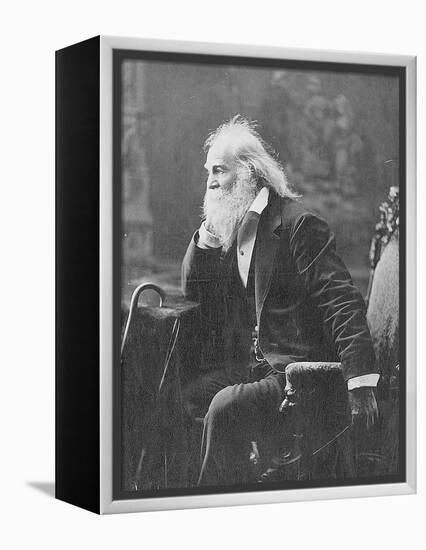 Walt Whitman, American Poet-Science Source-Framed Premier Image Canvas