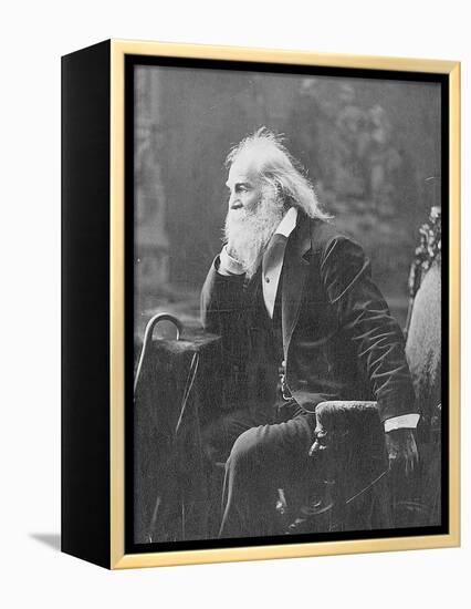 Walt Whitman, American Poet-Science Source-Framed Premier Image Canvas