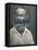 'Walt Whitman', c1862, (1939)-Mathew Brady-Framed Premier Image Canvas