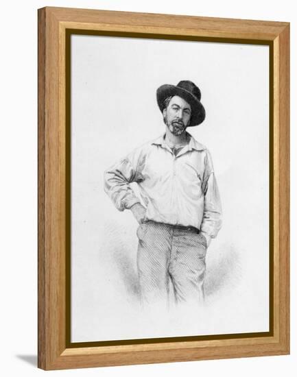 Walt Whitman, Frontispiece to 'Leaves of Grass', 1855 (Engraving)-American-Framed Premier Image Canvas