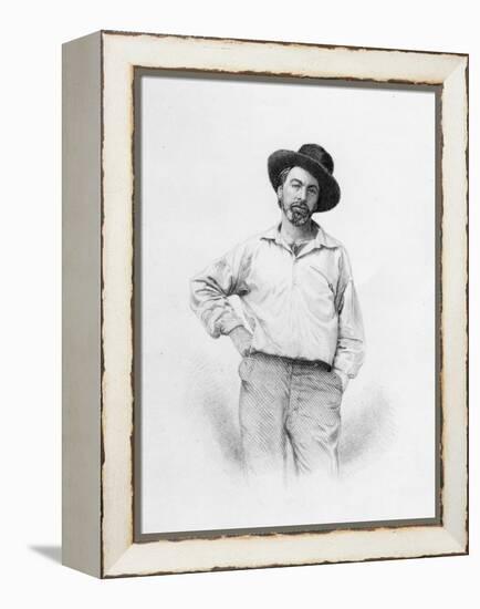 Walt Whitman, Frontispiece to 'Leaves of Grass', 1855 (Engraving)-American-Framed Premier Image Canvas