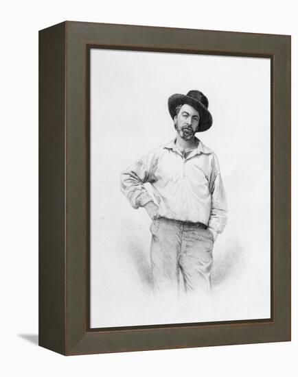 Walt Whitman, Frontispiece to 'Leaves of Grass', 1855 (Engraving)-American-Framed Premier Image Canvas