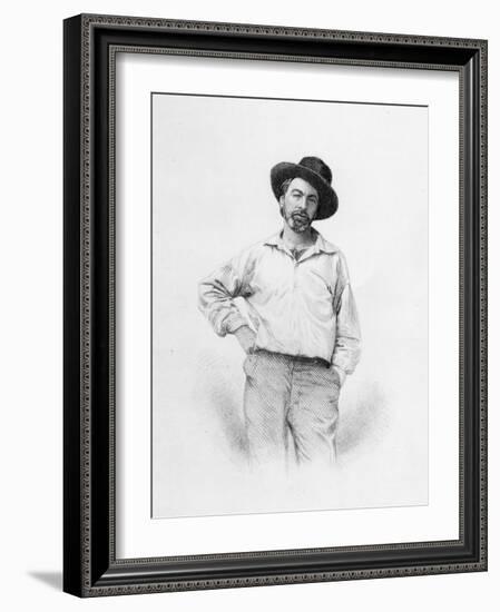 Walt Whitman, Frontispiece to 'Leaves of Grass', 1855 (Engraving)-American-Framed Giclee Print