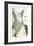 Walt Whitman, Inciting the Bird of Freedom to Soar, 1904-Max Beerbohm-Framed Giclee Print