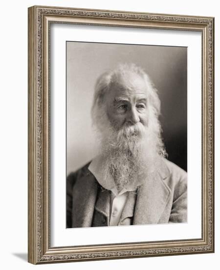 Walt Whitman, Portrait by Napoleon Sarony-Napoleon Sarony-Framed Photographic Print