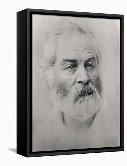 Walt Whitman-null-Framed Stretched Canvas