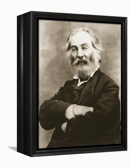 Walt Whitman-Mathew Brady-Framed Premier Image Canvas