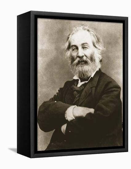 Walt Whitman-Mathew Brady-Framed Premier Image Canvas