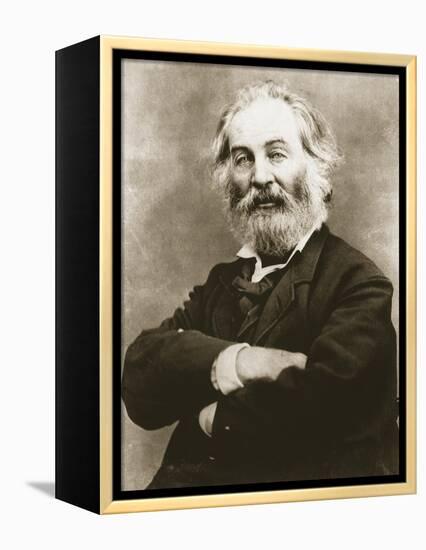 Walt Whitman-Mathew Brady-Framed Premier Image Canvas